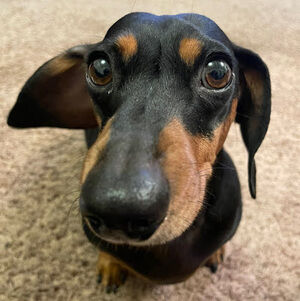 Meet your Posher, Julietteerosee